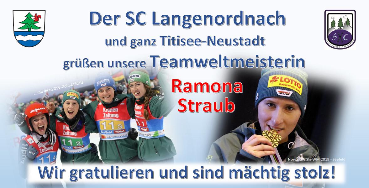 K800 Ramona Banner Bauzaunformat