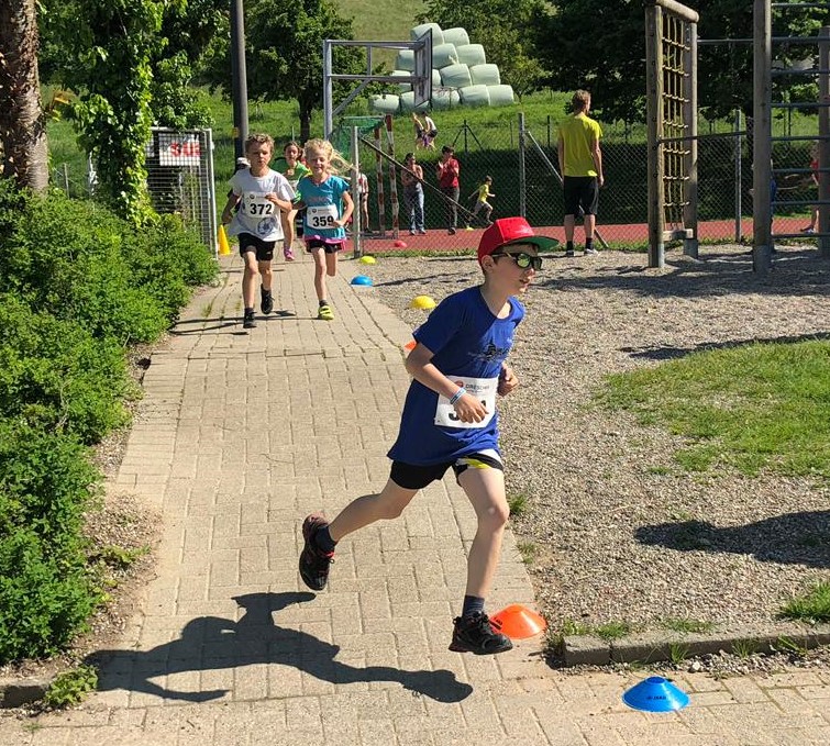 1777dafe-ecf6-400e-86dd-8e4a6d5aa262 2